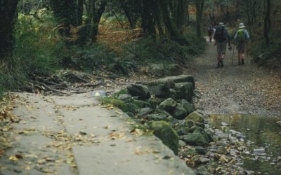 A CONCHA E MAIS 7 CURIOSIDADES DO CAMINHO DE SANTIAGO