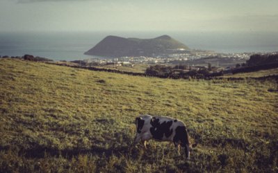 ILHA DE JESUS CRISTO (sim, estou a falar da Ilha Terceira)