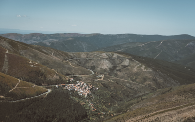 TERRA DE NINGUÉM