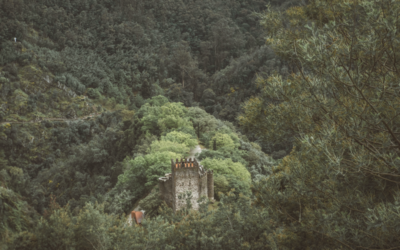 CASTELO DA LOUSÃ