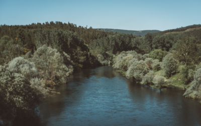 RIO ZÊZERE